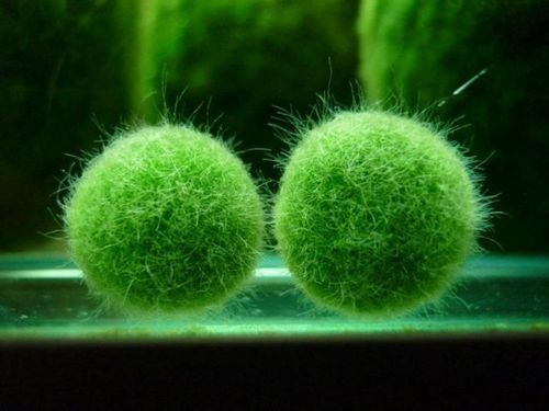 > </div>
<div class=